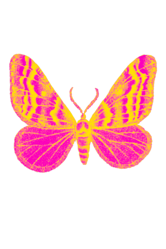 Female Tshirt - Rebirth